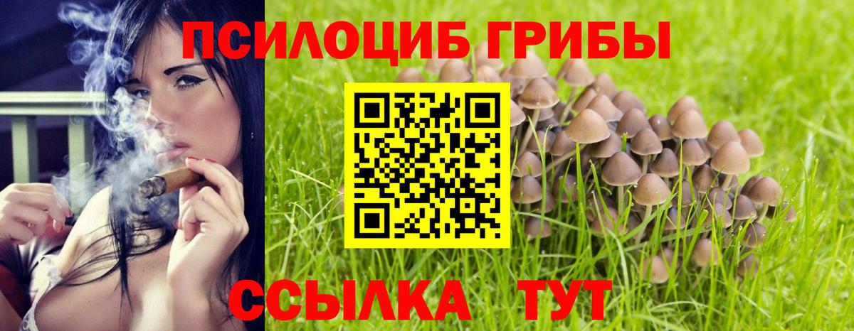 Галлюциногенные грибы ЛСД  Вход с VPN  Губаха 
