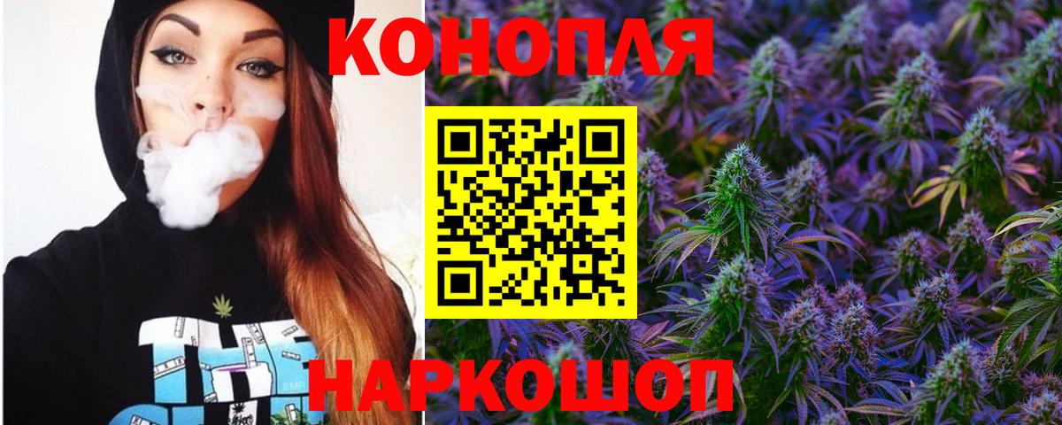 Конопля марихуана Губаха